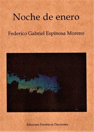 Noche de enero -Relatos de Federico Gabriel Espinosa Moreno-